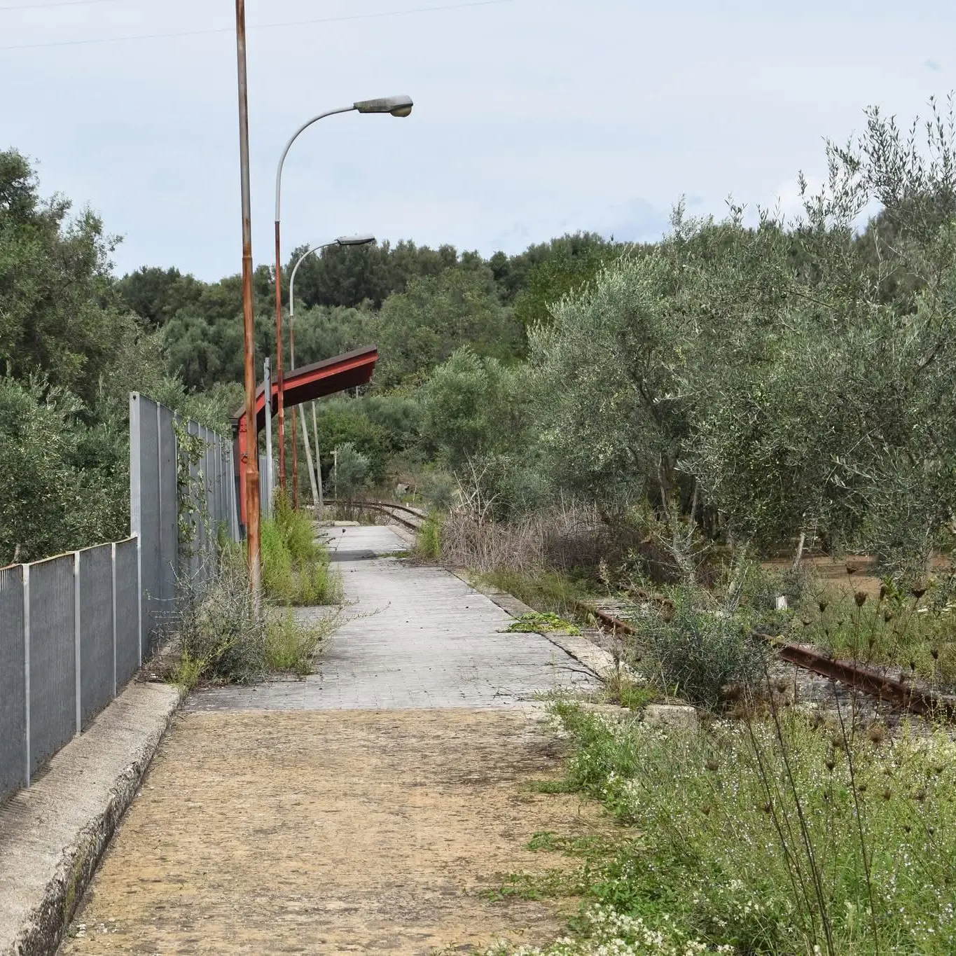 Una metro di superficie per far rivivere le Linee taurensi, il progetto di rilancio piace anche ai sindaci della Piana\n