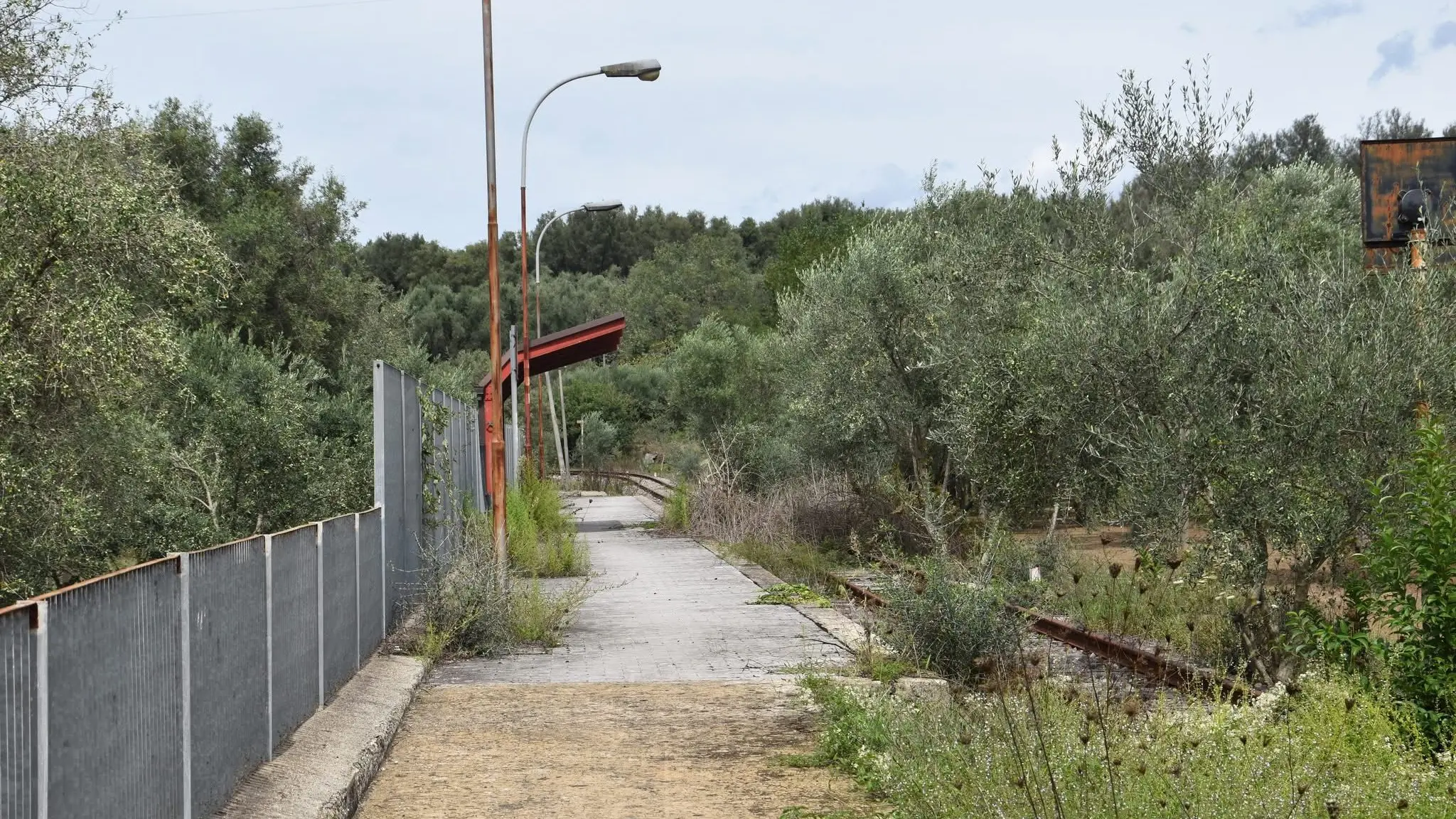 <p>Una banchina in degrado sul vecchio tracciato delle Taurensi</p>\\n