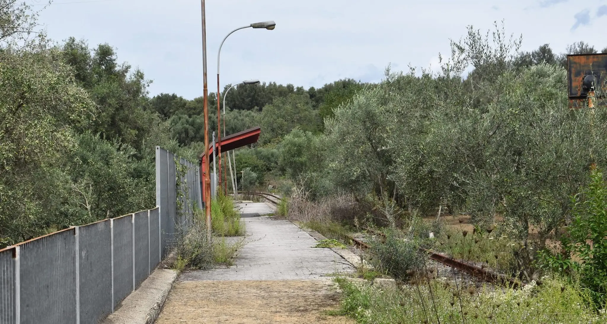 Una metro di superficie per far rivivere le Linee taurensi, il progetto di rilancio piace anche ai sindaci della Piana\n