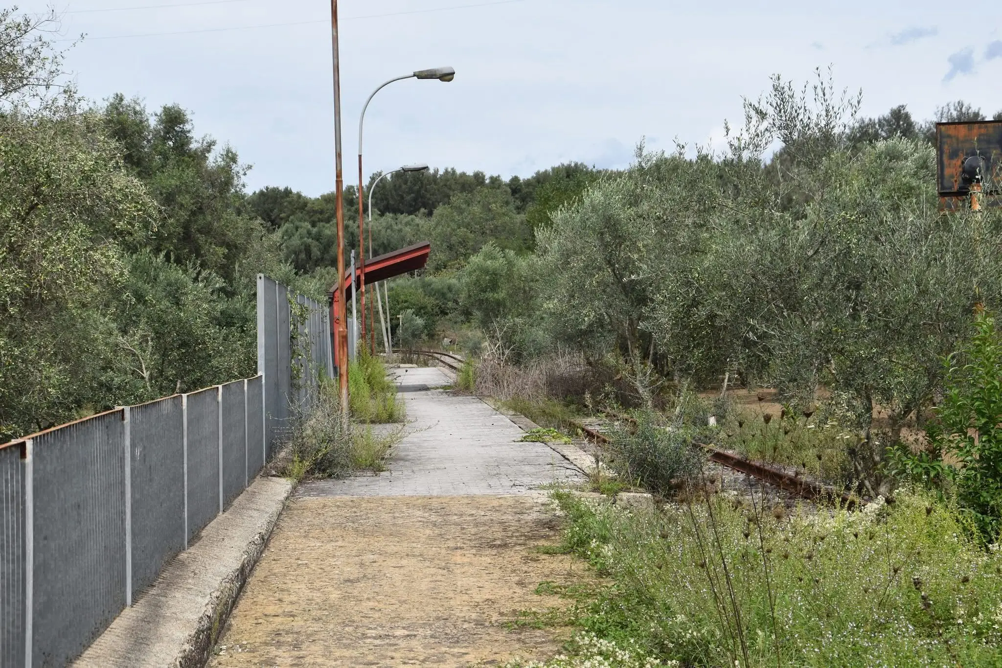 Una metro di superficie per far rivivere le Linee taurensi, il progetto di rilancio piace anche ai sindaci della Piana\n