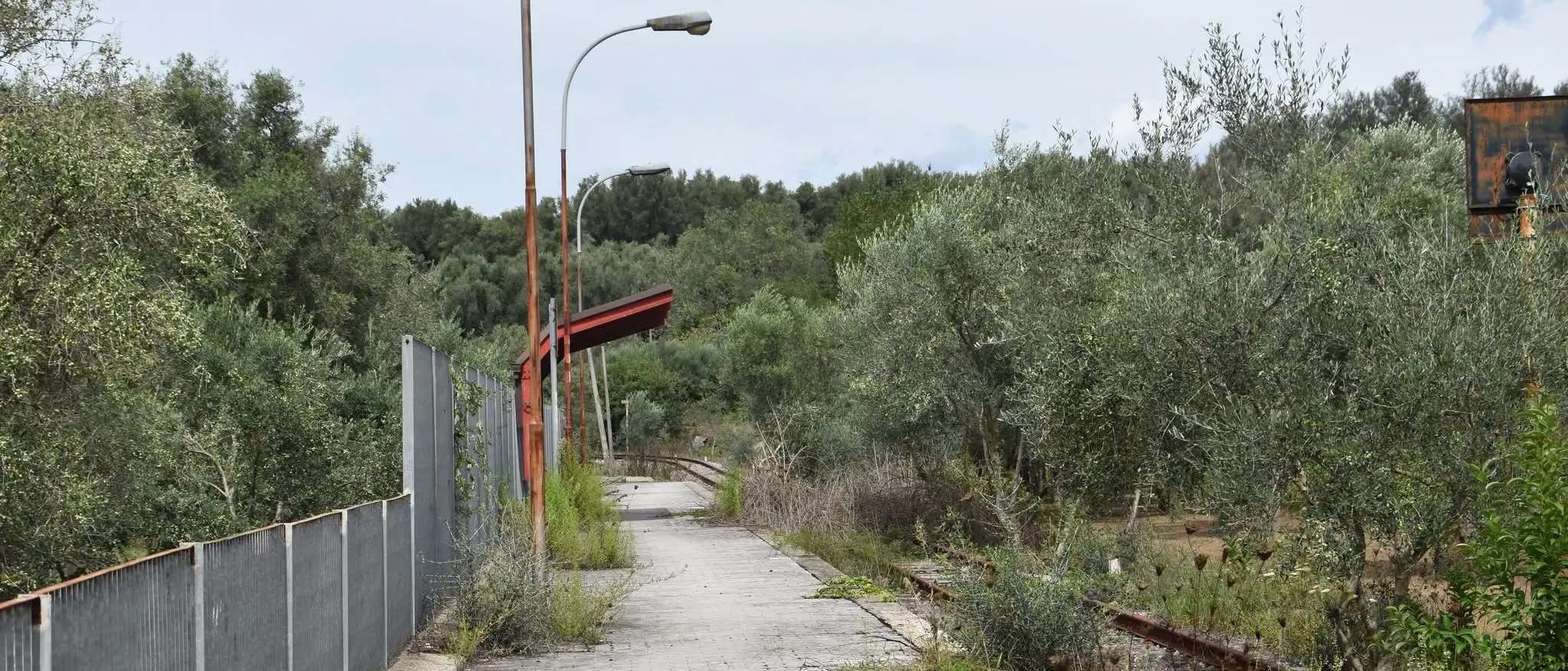 Una metro di superficie per far rivivere le Linee taurensi, il progetto di rilancio piace anche ai sindaci della Piana\n