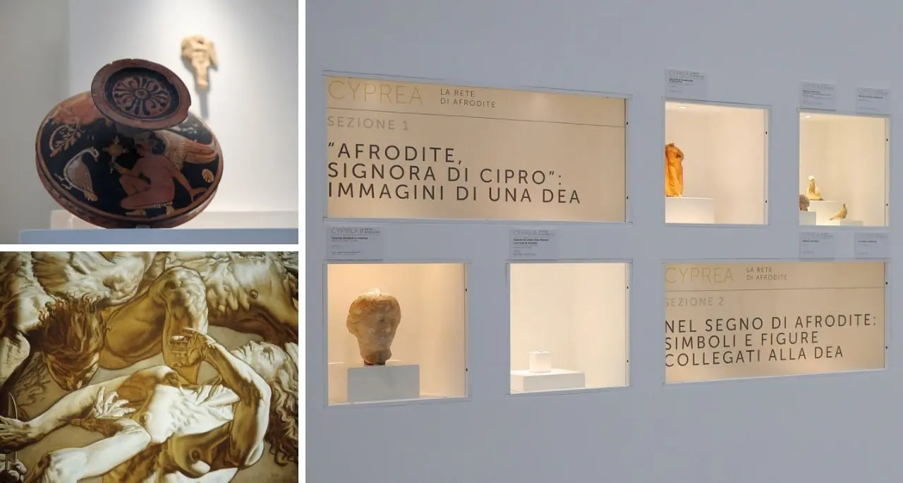 La rete di Afrodite, il mito della dea dell’amore rivive al Museo di Reggio con la mostra Cyprea\n