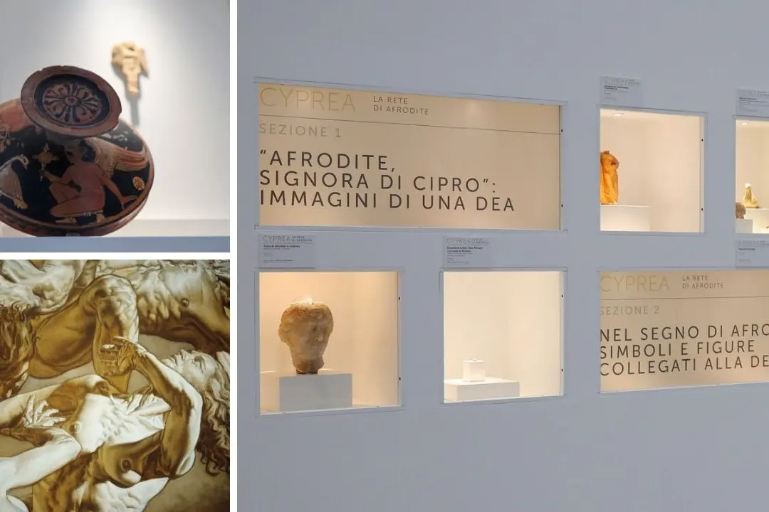 La rete di Afrodite, il mito della dea dell’amore rivive al Museo di Reggio con la mostra Cyprea\n