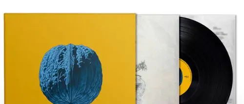Il disco edizione limitata “L’albero delle noci” di Brunori Sas sale di prezzo in poco tempo: su internet costa 300 euro