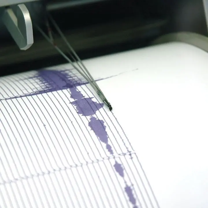 Terremoto nel Reggino, la scossa di magnitudo 3.3 durante la notte