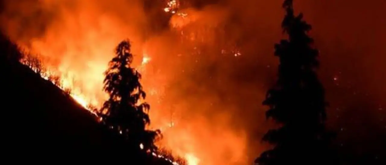 Lotta agli incendi boschivi, nasce in Aspromonte l’Osservatorio permanente\n