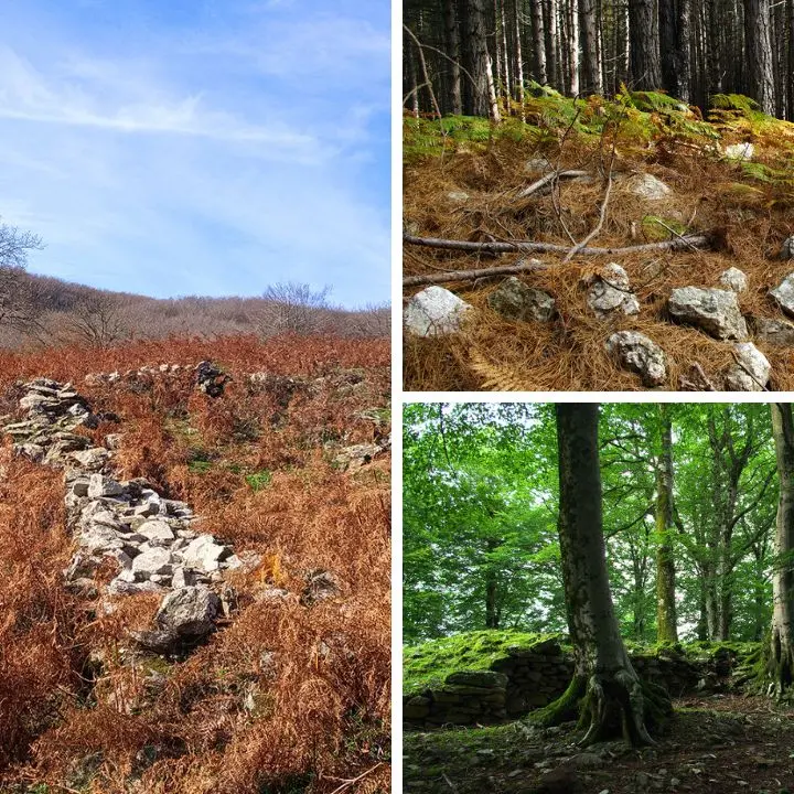 Dal cuore dell’Aspromonte greco l’idea di un grande parco archeologico diffuso\u00A0\n