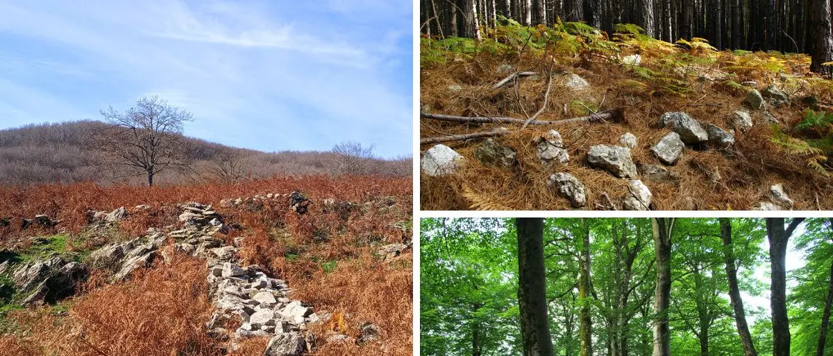 Dal cuore dell’Aspromonte greco l’idea di un grande parco archeologico diffuso\u00A0\n