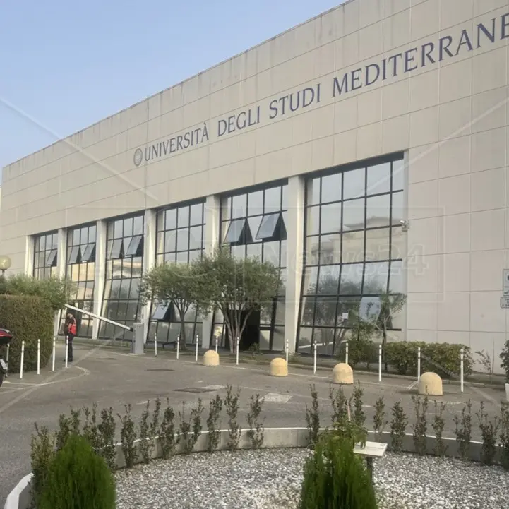 One Health, nuovo master all’Università Mediterranea per lo sviluppo di modelli sostenibili nell’area dello Stretto