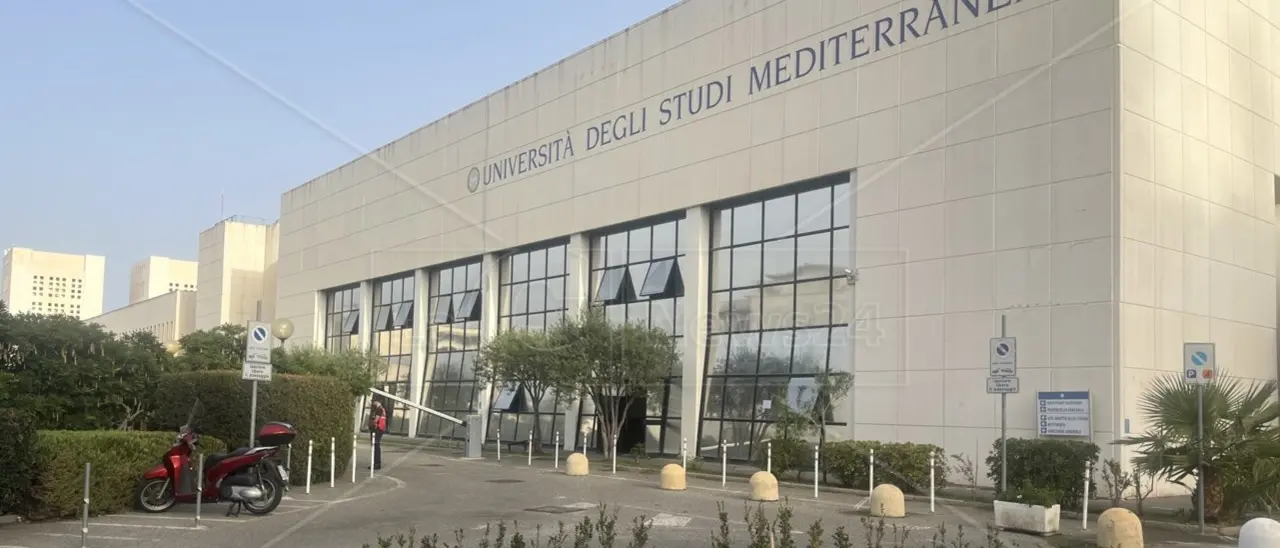 One Health, nuovo master all’Università Mediterranea per lo sviluppo di modelli sostenibili nell’area dello Stretto