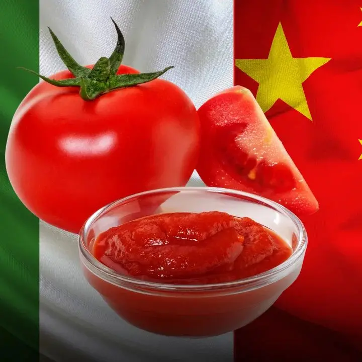 La Bbc smaschera lo scandalo in Inghilterra: “Italian tomato” ma è cinese\n