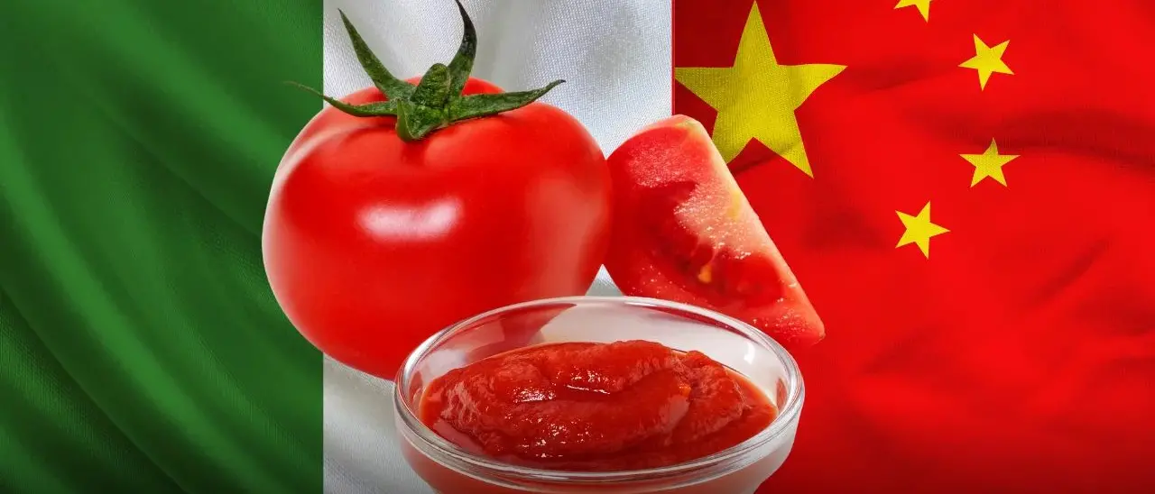 La Bbc smaschera lo scandalo in Inghilterra: “Italian tomato” ma è cinese\n