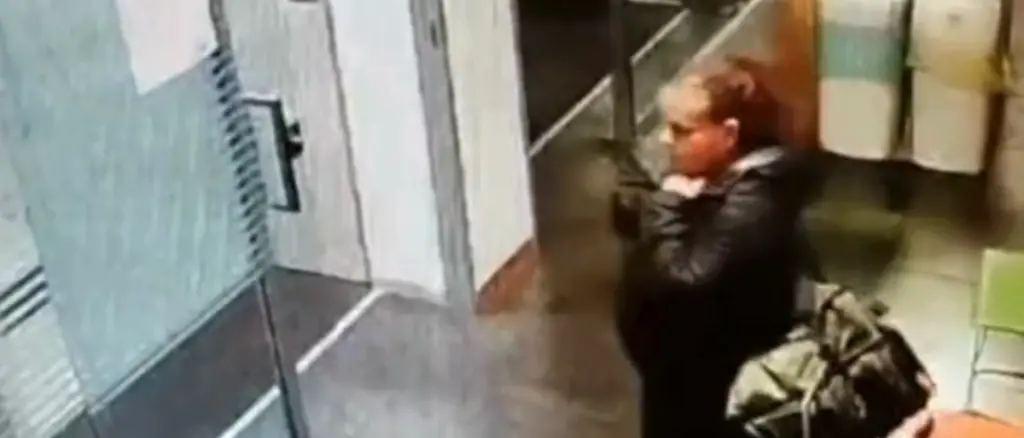 Giudizio immediato per Rosa Vespa, è accusata del rapimento della piccola Sofia: udienza a settembre