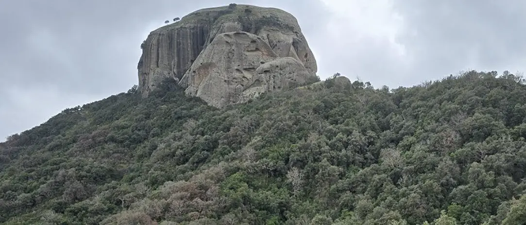 Aspromonte quintessenza della Calabria: una mirabile domenica a Pietra Cappa