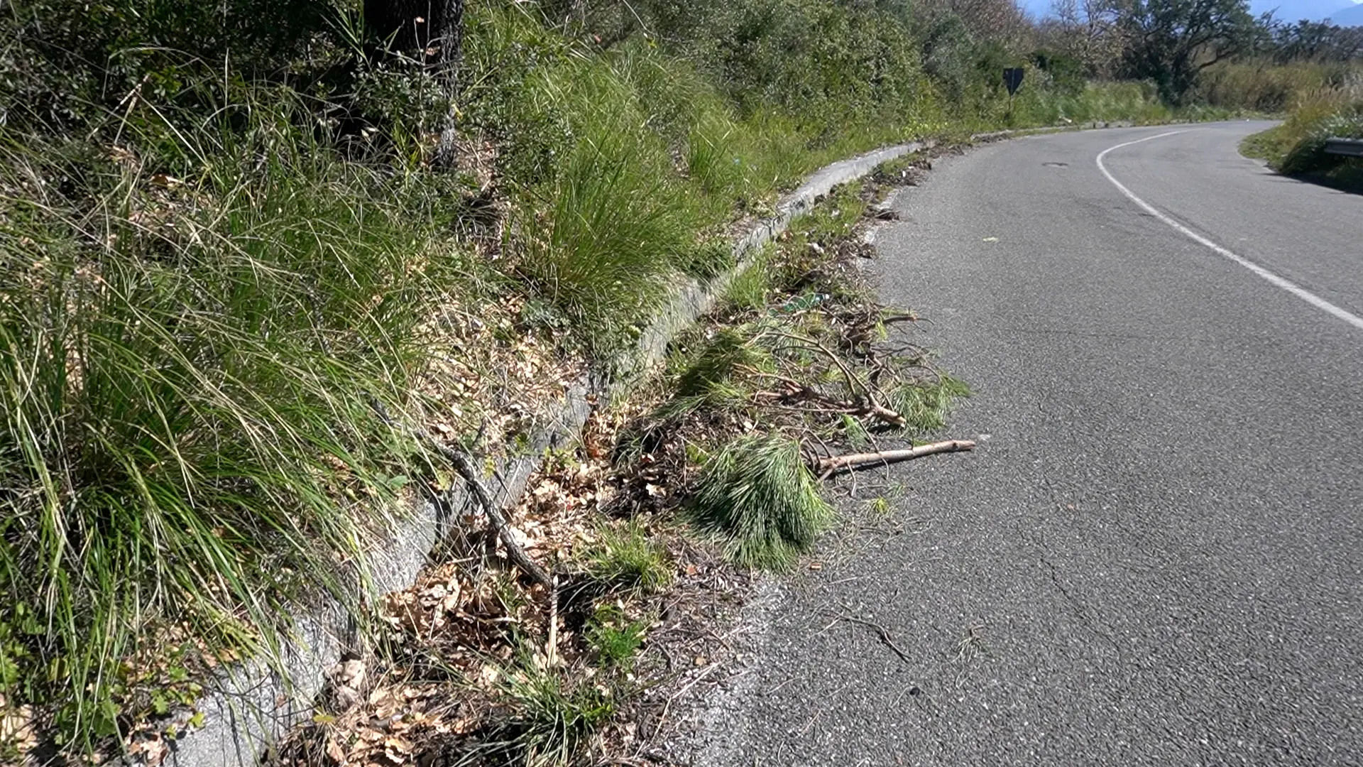 Scalea, Pappaterra\u00A0(Idm) chiede interventi urgenti per la messa in sicurezza della Sp 9\n
