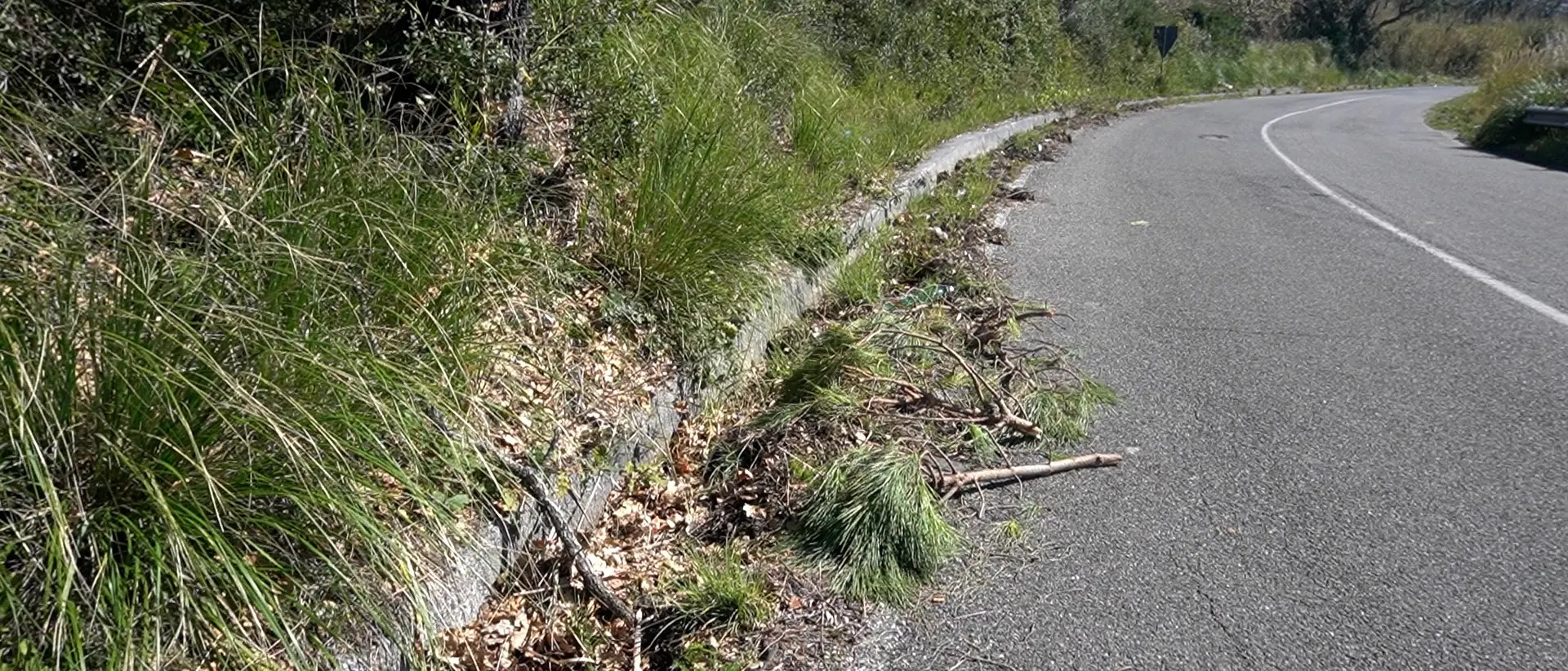 Scalea, Pappaterra\u00A0(Idm) chiede interventi urgenti per la messa in sicurezza della Sp 9\n