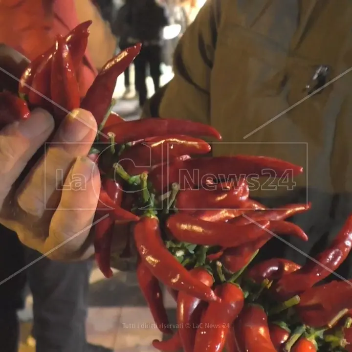 Peperoncino di Calabria verso il marchio Igp:\u00A0approvato il disciplinare di produzione\n