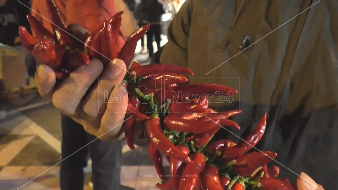 Peperoncino di Calabria verso il marchio Igp:\u00A0approvato il disciplinare di produzione\n