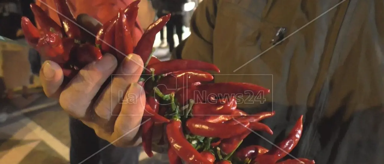 Peperoncino di Calabria verso il marchio Igp:\u00A0approvato il disciplinare di produzione\n