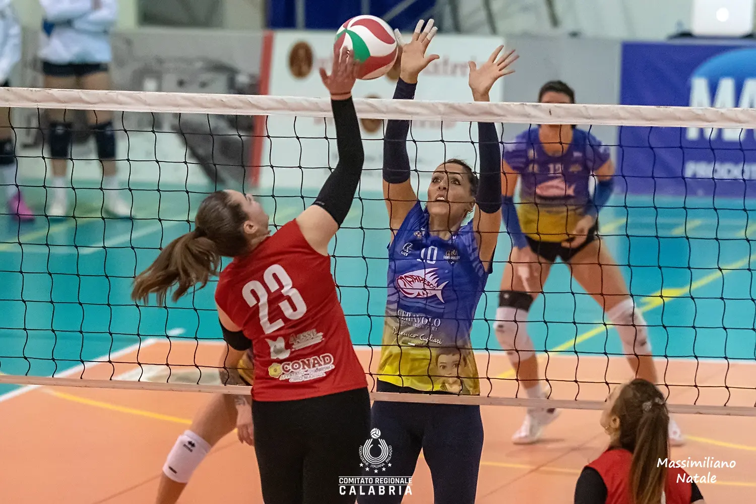 Volley Calabria, la strada è giusta. Il consigliere Fipav Carrozza: «La pallavolo ha grandi margini di crescita»