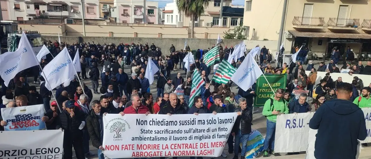 Forestazione, l’attacco di Liberi Imprenditori Forestali e Confartigianato Cosenza: «Per Occhiuto e la sua maggioranza la Costituzione è un optional»