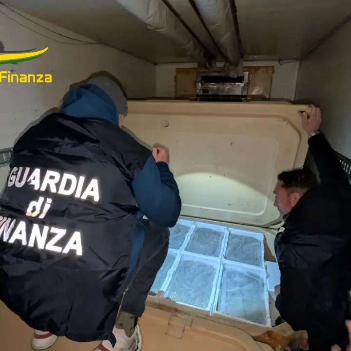 Maxi sequestro di 1,5 tonnellate di novellame di sarda\u00A0a Reggio Calabria e multa da 75mila euro\n