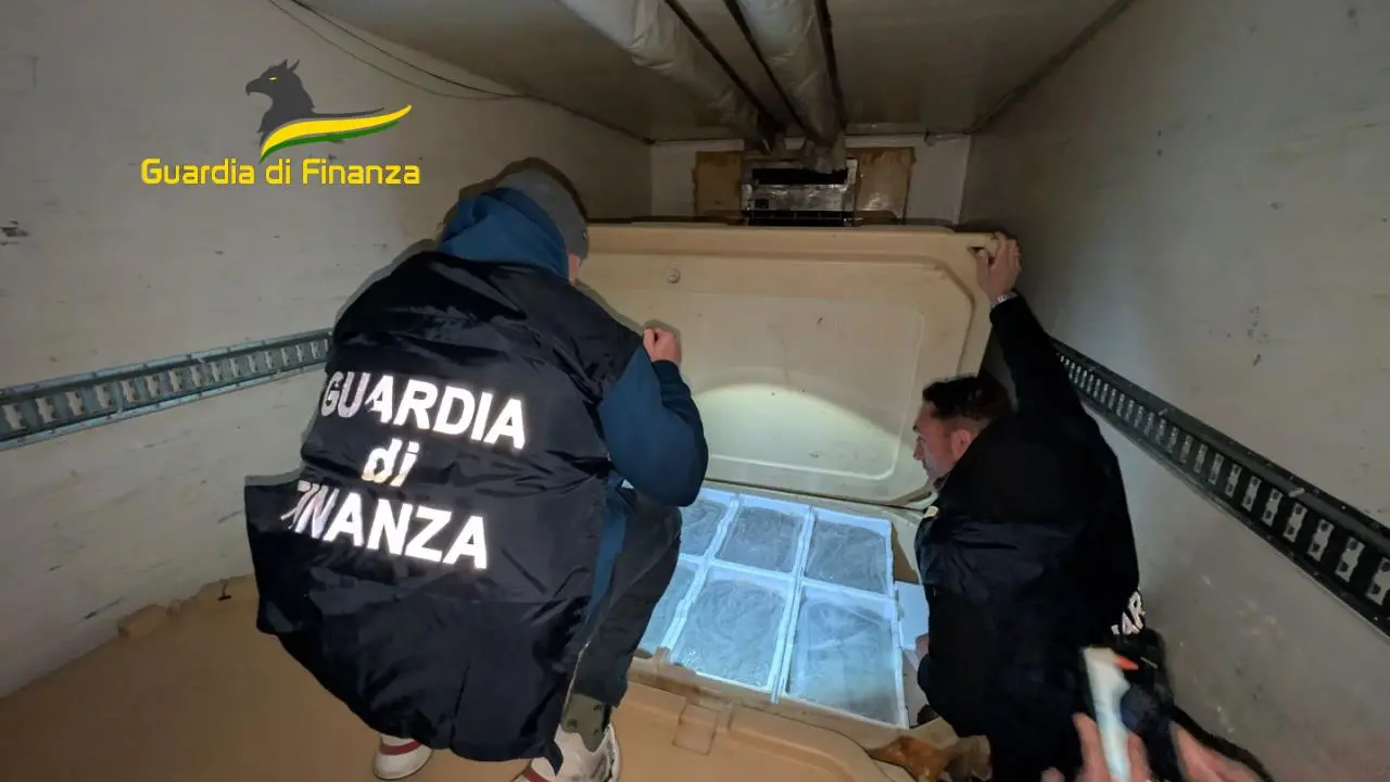 Maxi sequestro di 1,5 tonnellate di novellame di sarda\u00A0a Reggio Calabria e multa da 75mila euro\n