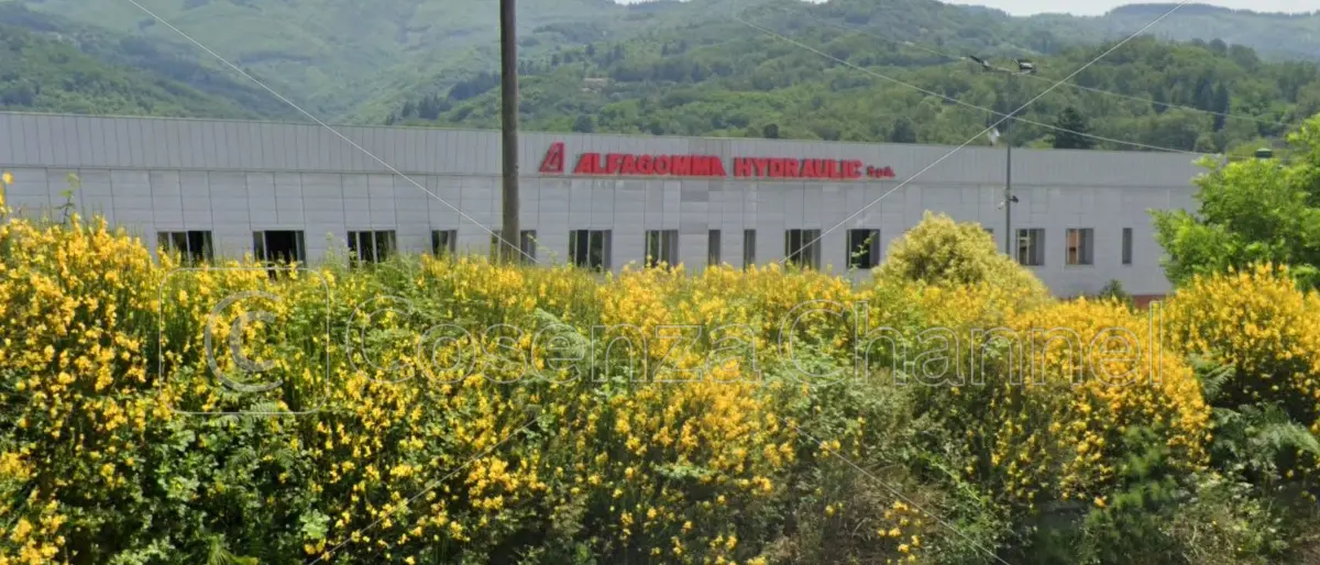 Alfagomma in vendita, Greco (Idm): «Serve un'azione concreta, in Calabria a rischio 500 lavoratori»\n