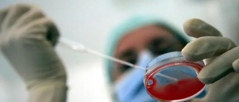 Procreazione medicalmente assistita per le donne single: la Consulta chiamata a decidere su una scelta oggi negata\n