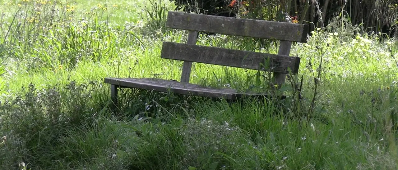 Vibo, incuria e degrado tra parchi e ville comunali: «Servono manutenzione costante e sorveglianza»\n