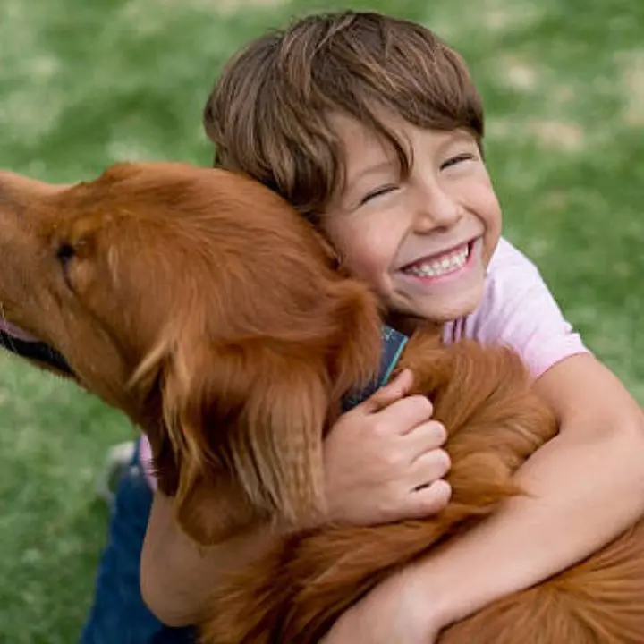 Cani e bambini, urge una revisione del “patentino” per prevenire le aggressioni: «I più piccoli non possono essere lasciati soli»\n