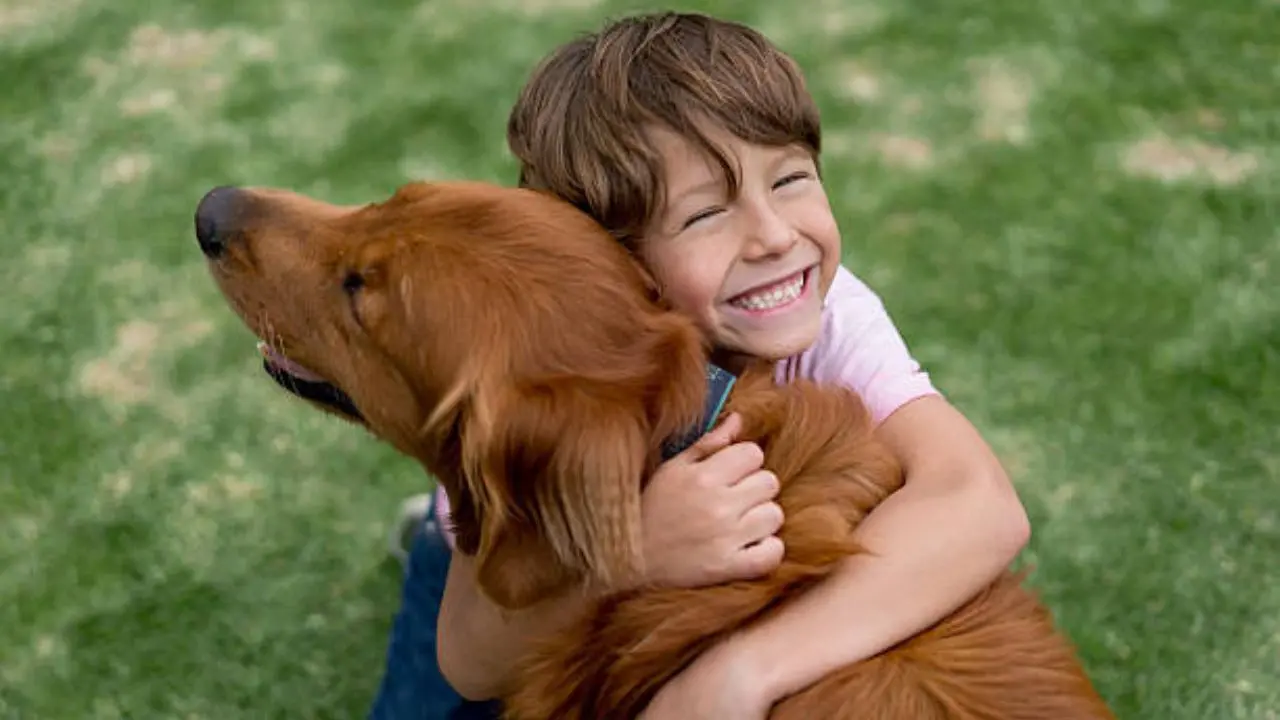 Cani e bambini, urge una revisione del “patentino” per prevenire le aggressioni: «I più piccoli non possono essere lasciati soli»\n