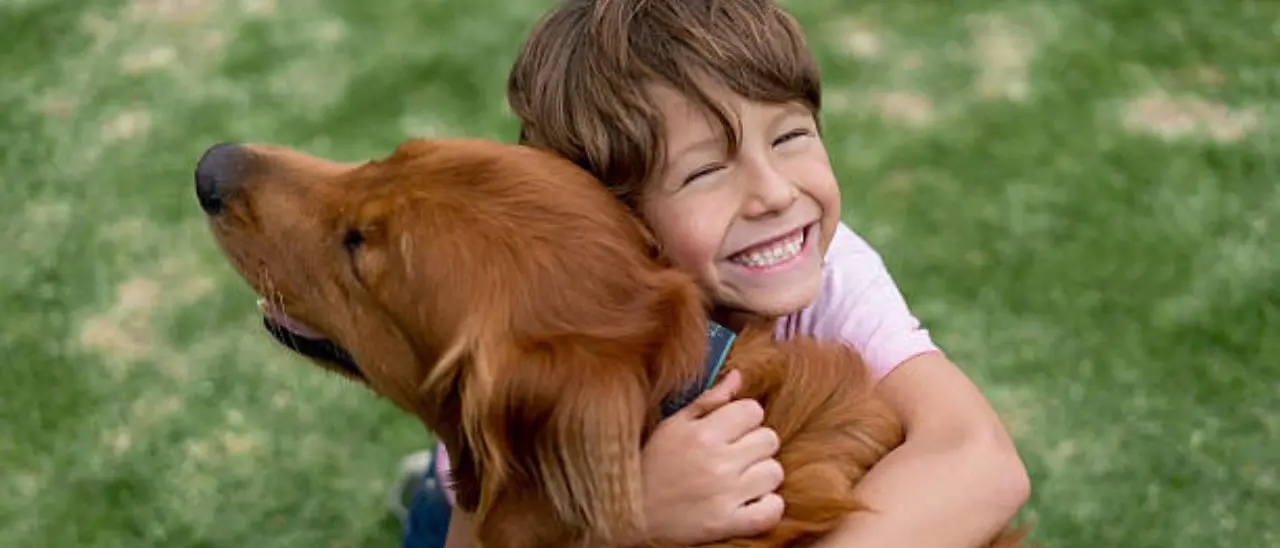 Cani e bambini, urge una revisione del “patentino” per prevenire le aggressioni: «I più piccoli non possono essere lasciati soli»\n