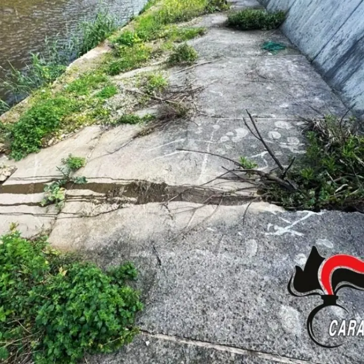 Rifiuti speciali, discariche abusive e maiali allevati senza controlli, denunce e sequestri nel Reggino\n
