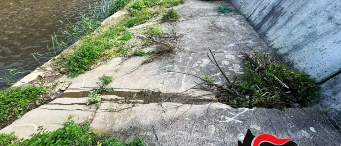 Rifiuti speciali, discariche abusive e maiali allevati senza controlli, denunce e sequestri nel Reggino\n