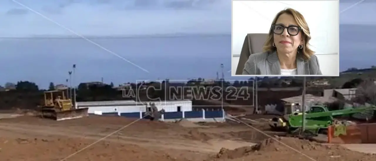 «In Calabria burocrazia inefficiente,\u00A0per questo i nuovi ospedali arrancano»: l’analisi della prof dell’Umg Mauro\n