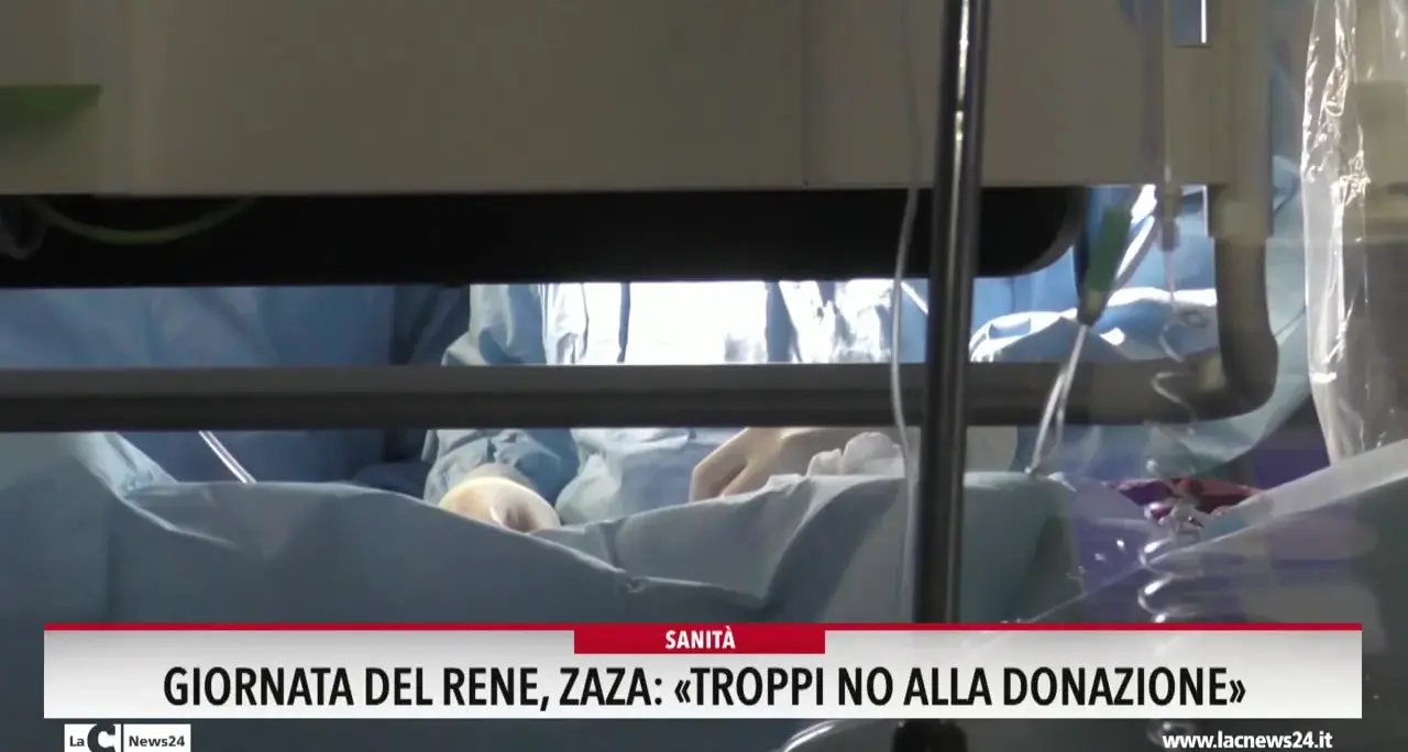 Giornata del rene, Zaza: «Troppi no alla donazione»