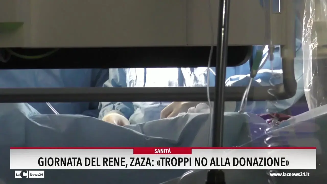 Giornata del rene, Zaza: «Troppi no alla donazione»