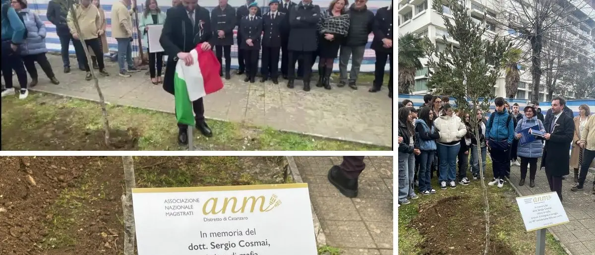 Anm\u00A0Cosenza ricorda Sergio Cosmai ucciso 40 anni fa dalla ‘ndrangheta: piantato l’albero della legalità