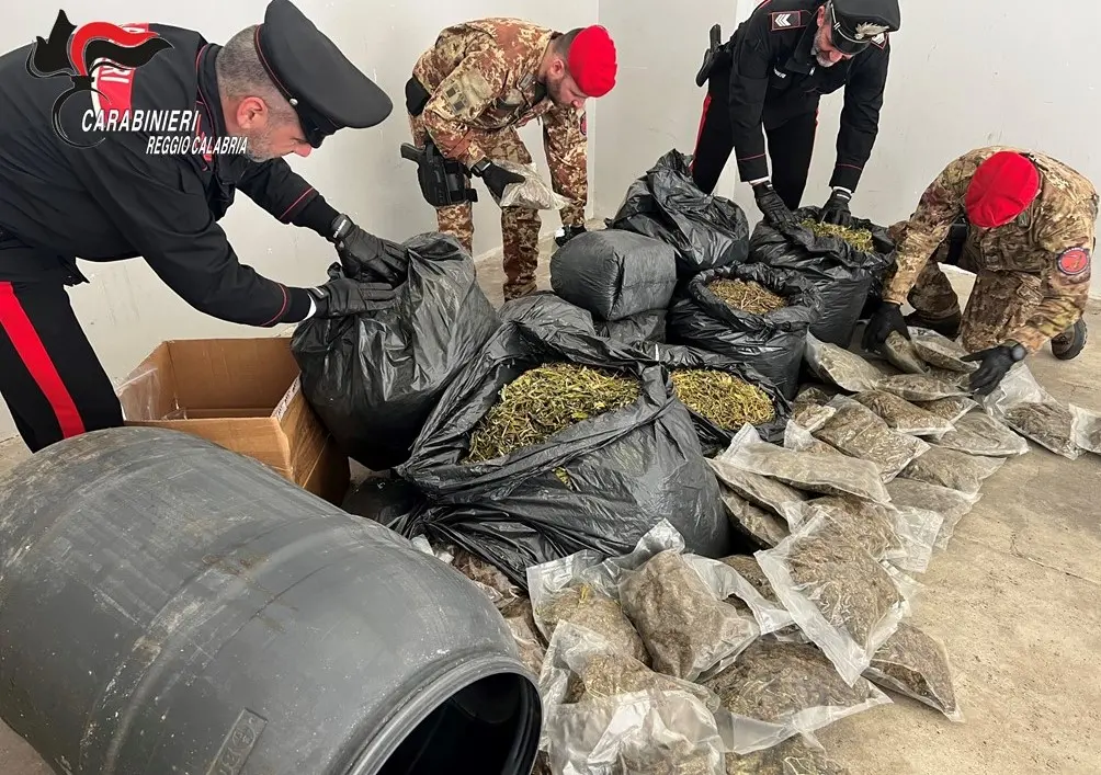 Trovati 30 kg\u00A0di marijuana suddivisa e sigillata in un deposito nel Reggino: arrestato 35enne\n