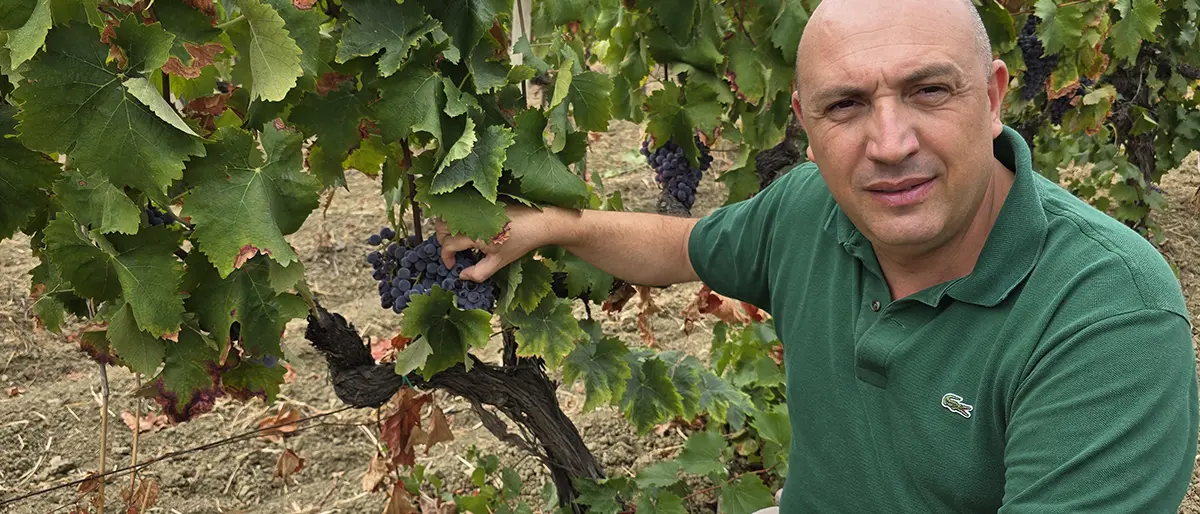 “Donna Giovanna”, declinazione superlativa del Greco bianco da vendemmia tardiva: oggi su\u00A0LaC On Air\n