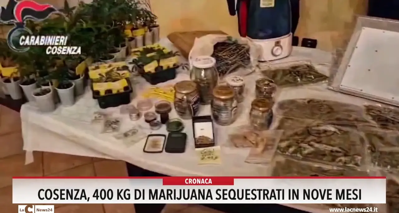 Cosenza, 400 kg di marijuana sequestrati in nove mesi