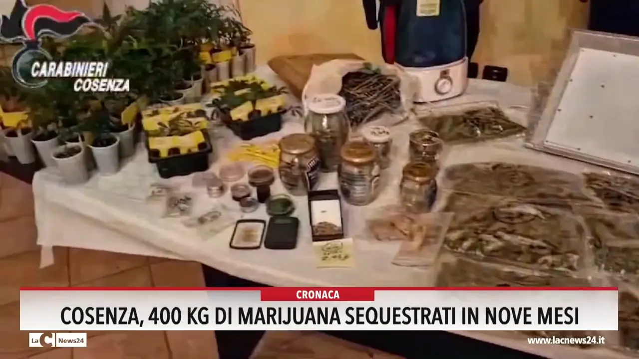 Cosenza, 400 kg di marijuana sequestrati in nove mesi