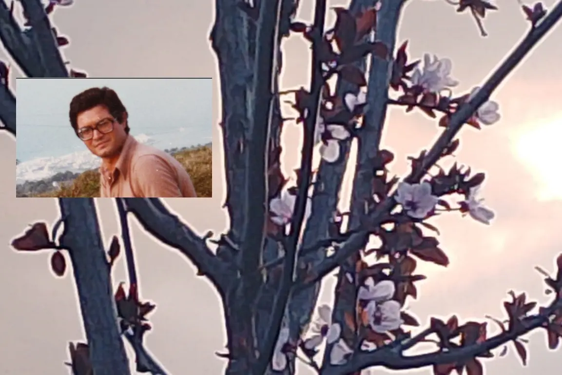 <p>Il prunus in memoria di Giuseppe Valarioti&nbsp;piantato nel Parco dell&rsquo;Infanzia di&nbsp;Rancitelli a Pescara&nbsp;</p>\\n