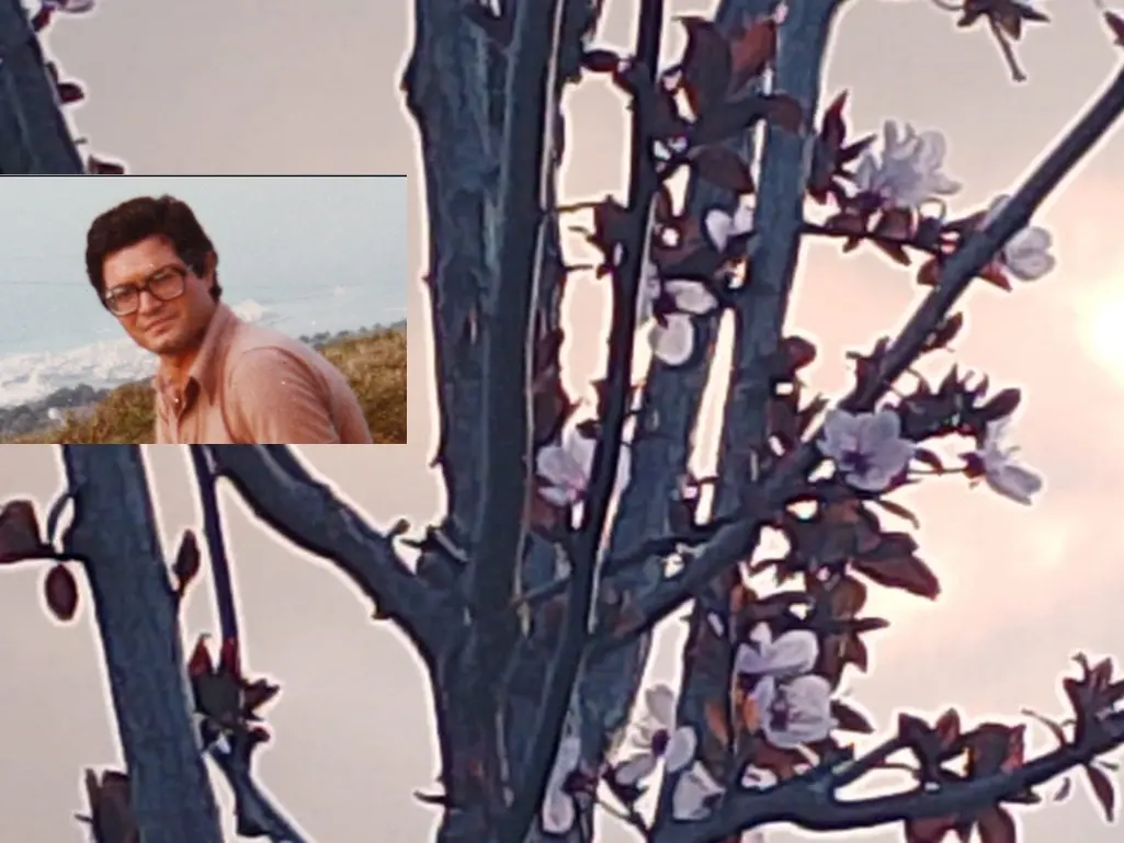 Il ricordo di Peppe Valarioti arriva fino a Pescara: al parco Rancitelli fiorisce un Prunus in sua memoria