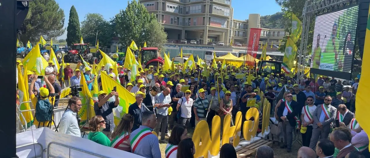 Il grido d’allarme di Coldiretti Calabria: «Basta esitazioni, l’emergenza cinghiali è fuori controllo»