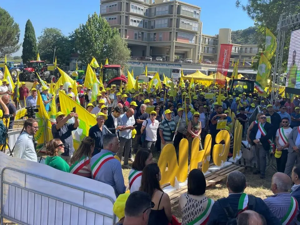 Il grido d’allarme di Coldiretti Calabria: «Basta esitazioni, l’emergenza cinghiali è fuori controllo»