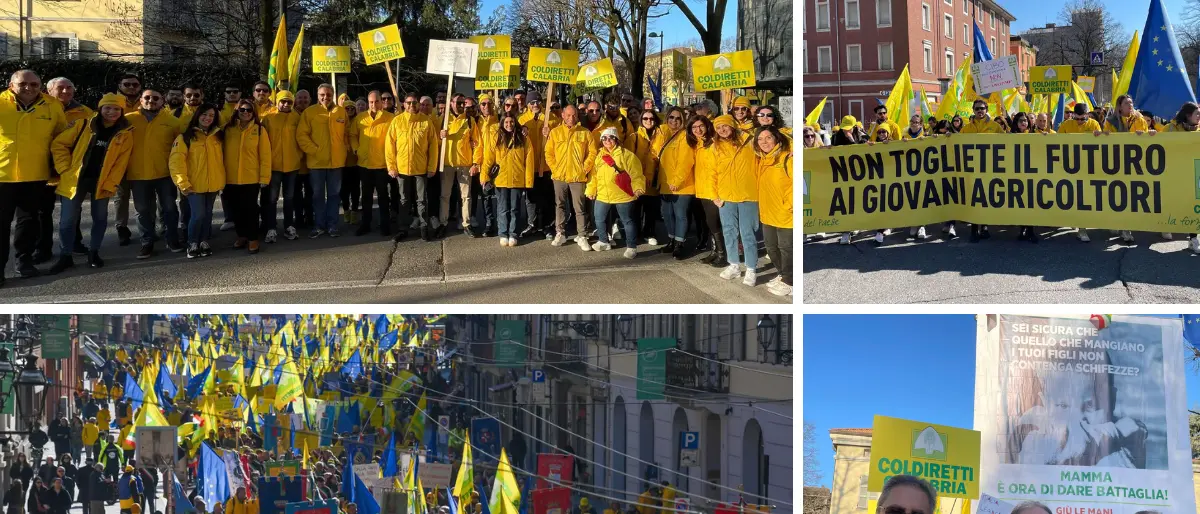 «No ai cibi creati\u00A0in laboratorio e più sostegno all’agricoltura», Coldiretti Calabria in prima fila alla manifestazione di Parma