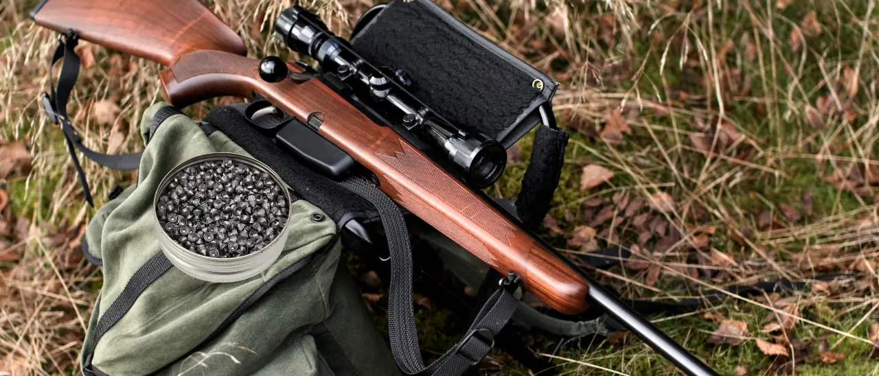 Amendolara, spara con fucile ad aria compressa\u00A0e ferisce un uomo: arrestato 25enne\n