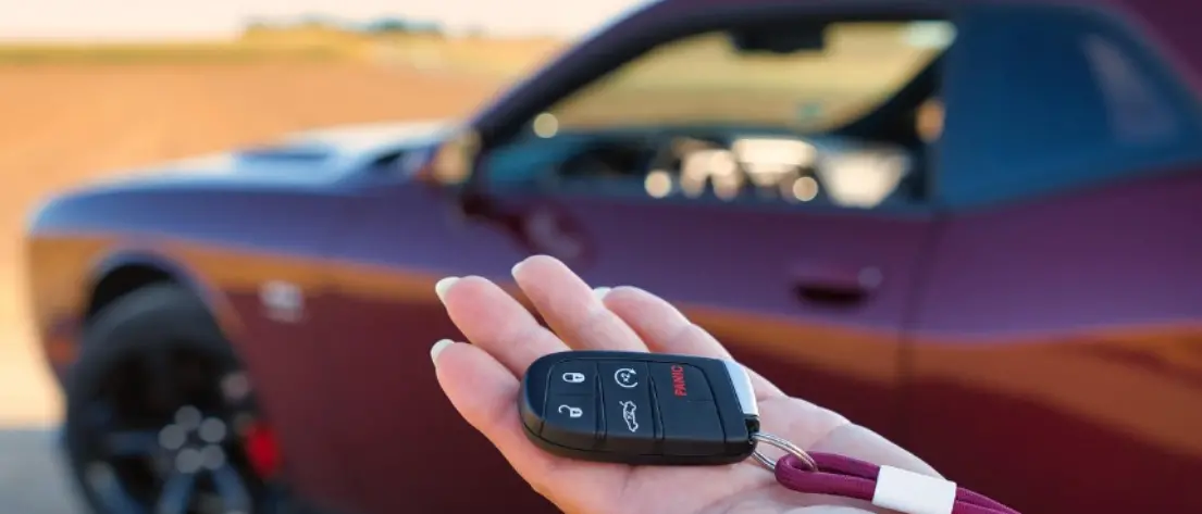 Crede di acquistare l’auto dei sogni e versa 30mila euro, truffato giovane crotonese\n